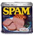 SPAM